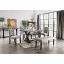 Complete Set with Light Gray Side Chairs