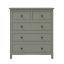 Gray Chest