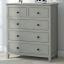 Gray Chest