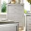 Gray Chest