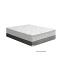 Foundation