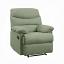 Sage Motion Recliner