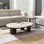 Coffee Table with End Table