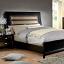 Black/Taupe Bed