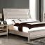 Champagne Bed