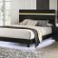 Black/Gold Bed