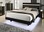 Black/Gold Bed