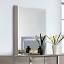 Light Taupe Mirror