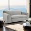 Light Gray Loveseat