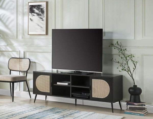 Colson Rattan Door Tv Stand