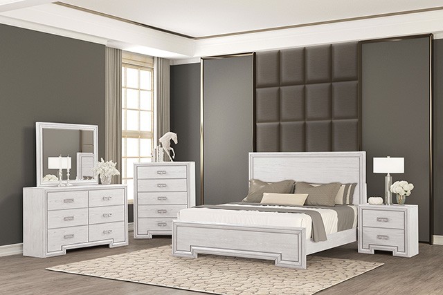 Basilone Transitional Bed