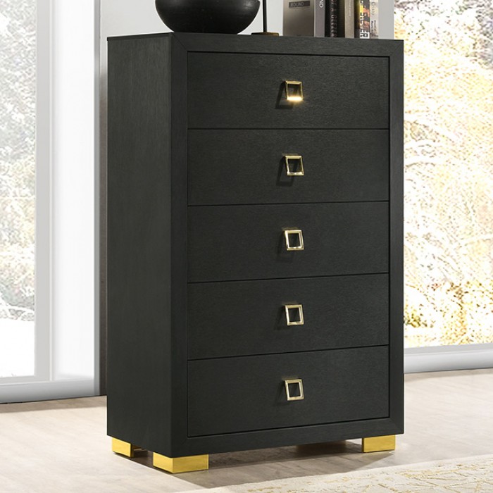 Latimer Contemporary Chest