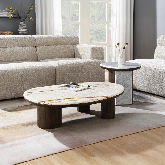 Haidar Coffee Table with Natural Marble