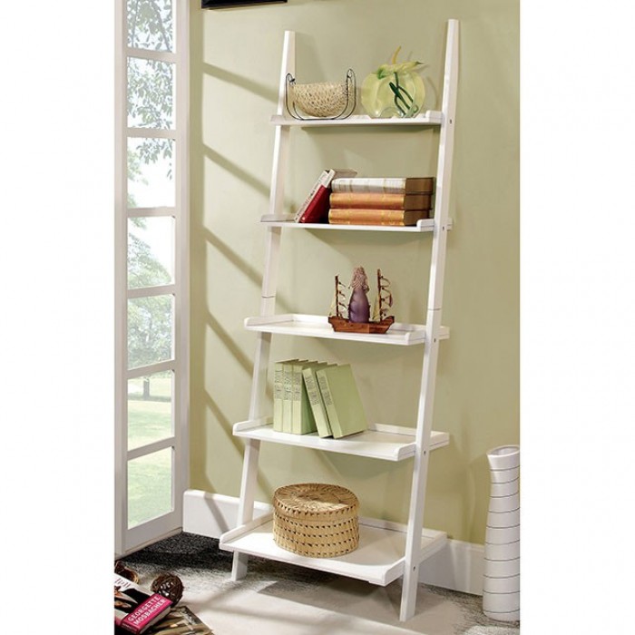 Sion Transitional Ladder Book Shelf