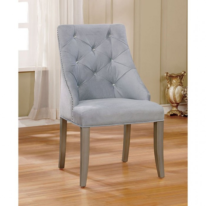 Diocles Transitional  Side Chair - Set of 2