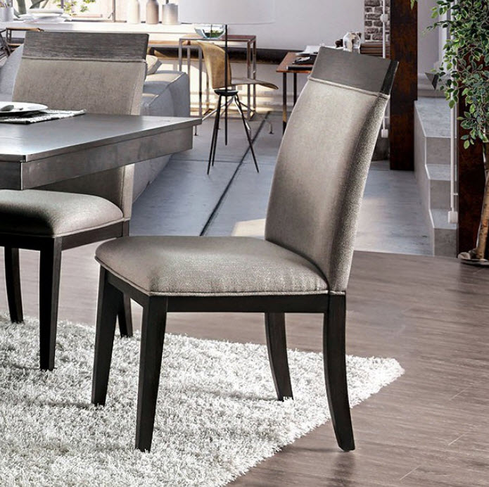 Modoc Contemporary Side Chair Set of 2