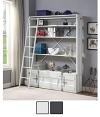Cargo Contemporary Bookcase with Ladder