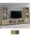Sachin 4-door Engineered Wood 79-inch TV Stand