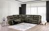 Jerominus Transitional Sectional