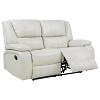 Camila Upholstered Motion Loveseat