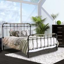 Riana Transitional Metal Bed