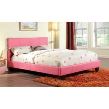 Evans Contemporary Style Padded Platform Bed